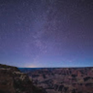 Meet your Posher, Bonnie